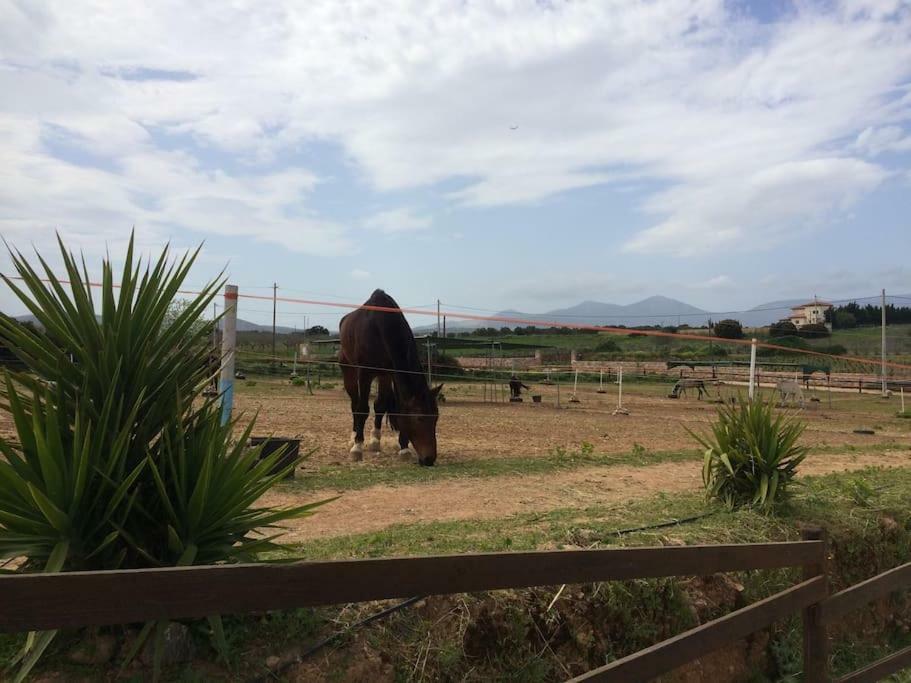Country Rooms Near Athens - Airport Braurone Esterno foto