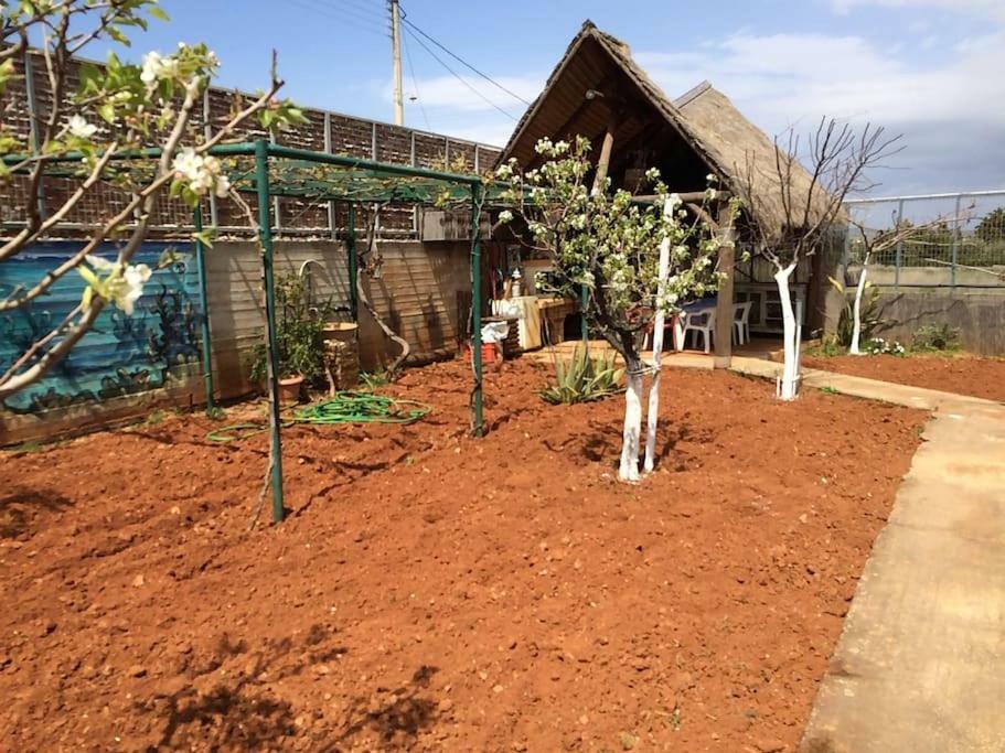 Country Rooms Near Athens - Airport Braurone Esterno foto