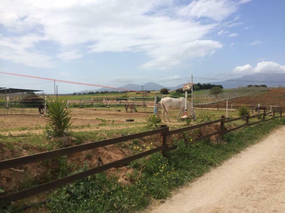 Country Rooms Near Athens - Airport Braurone Esterno foto