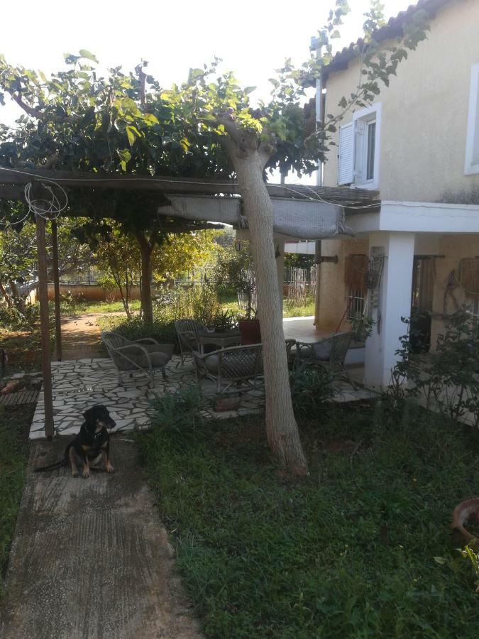 Country Rooms Near Athens - Airport Braurone Esterno foto