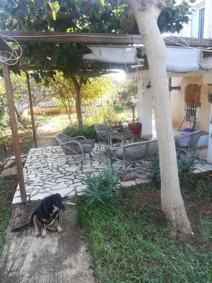Country Rooms Near Athens - Airport Braurone Esterno foto